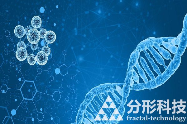 医院网站建设：创新医疗，便捷就医